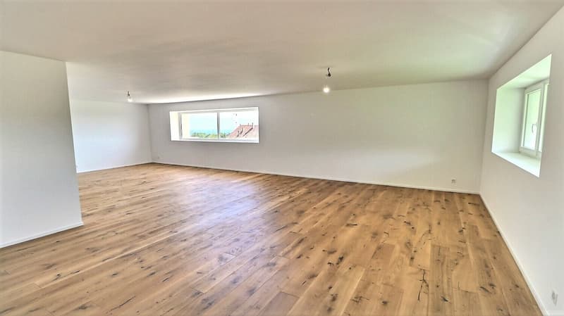 Appartement rénové en duplex avec vue sur le lac proche de Rolle (4)