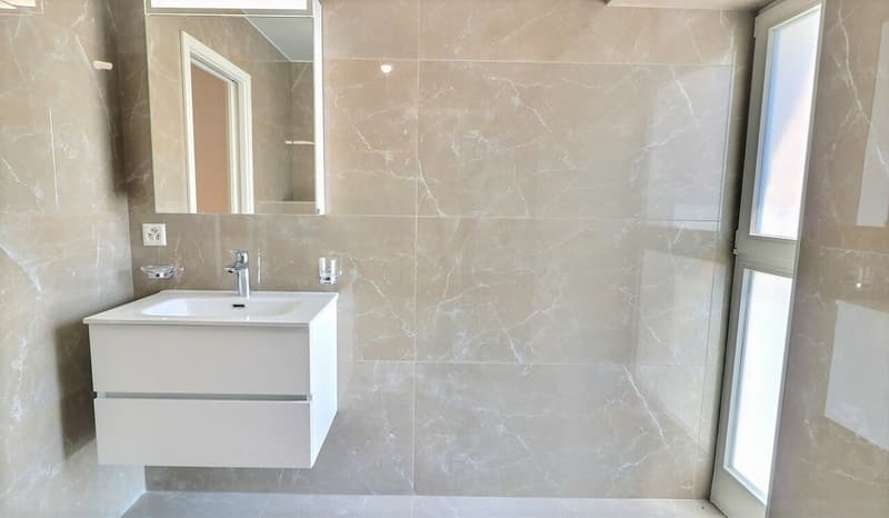 Appartement rénové en duplex avec vue sur le lac proche de Rolle (8)