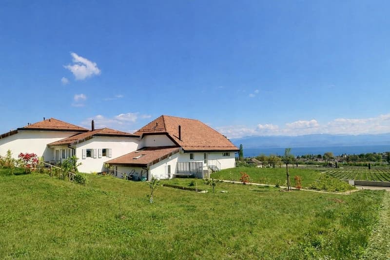 Appartement rénové en duplex avec vue sur le lac proche de Rolle (11)