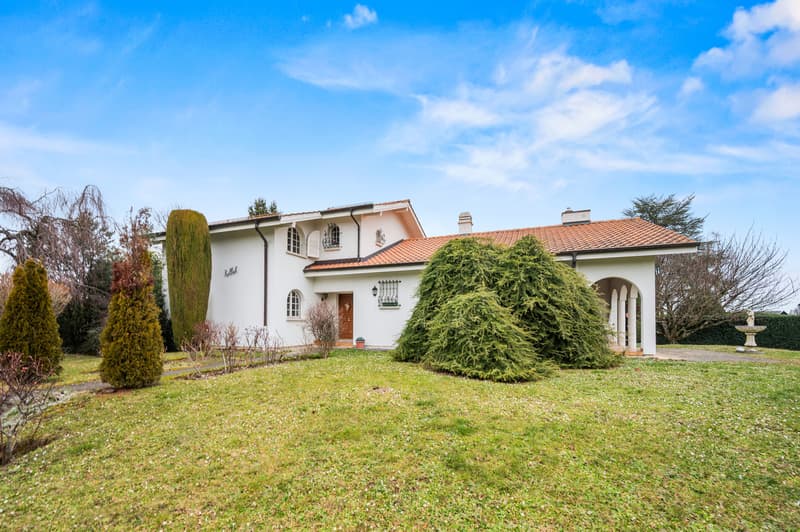 1297 Founex