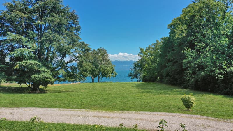 Superbe parcelle de 6 500 m2 pied dans l'eau, Rolle (3)