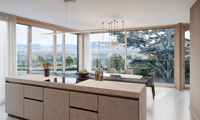 Superbe villa moderne sur plan proche du lac à Tannay (3)