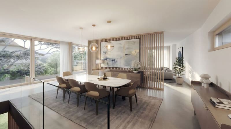 Superbe villa moderne sur plan proche du lac à Tannay (2)