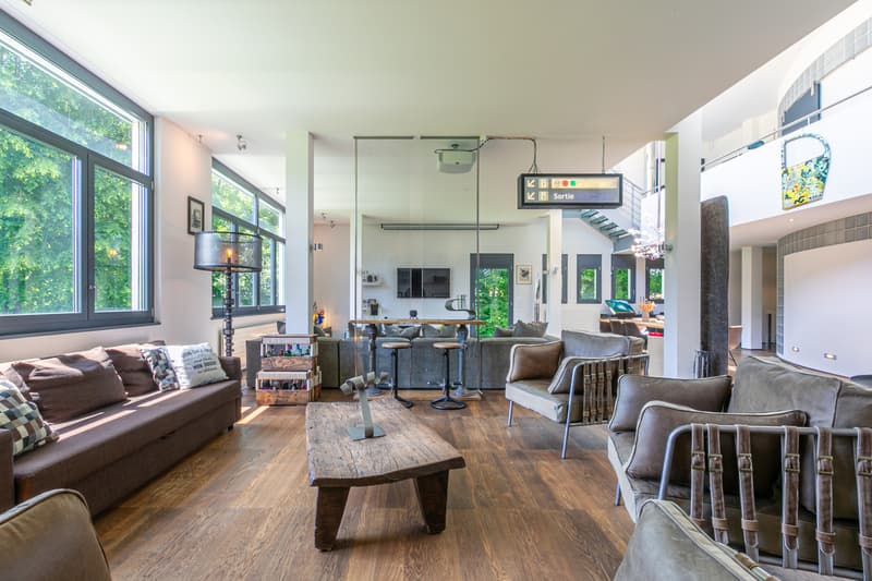 Superbe loft duplex de 338 m², terrasse, parc 3ha, proche de Carouge (2)