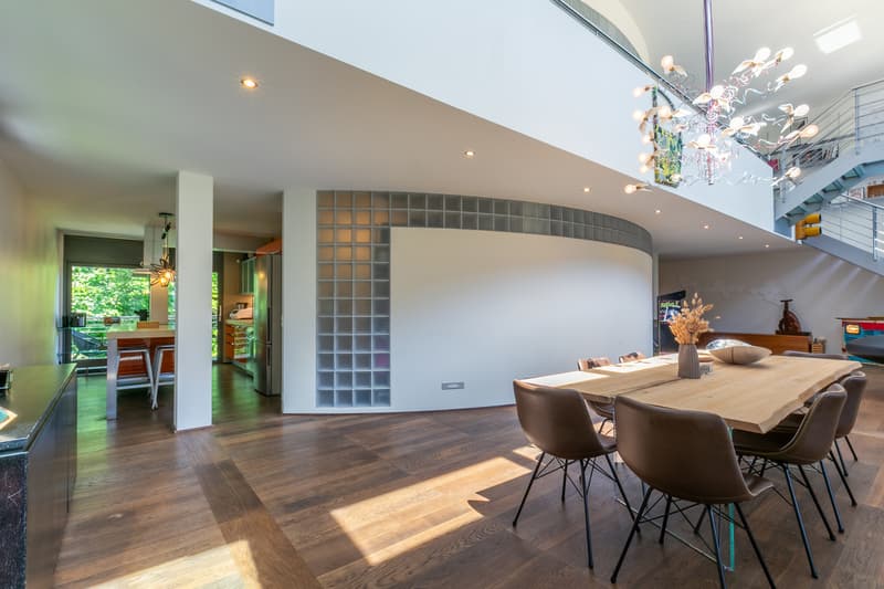 Superbe loft duplex de 338 m², terrasse, parc 3ha, proche de Carouge (7)
