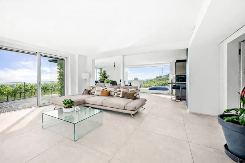 Belle villa d'architecte avec vue lac proche de Morges (3)