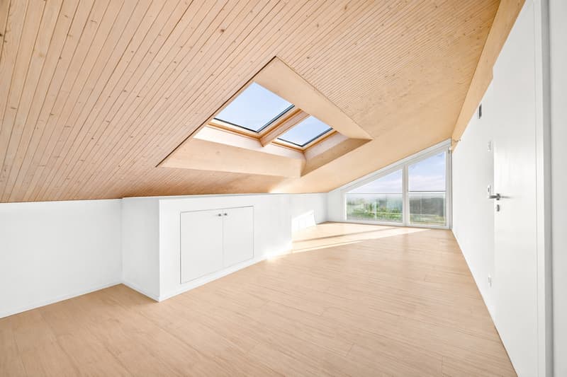 Belle villa d'architecte avec vue lac proche de Morges (12)