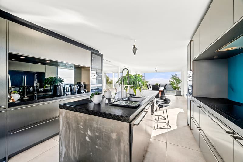 Belle villa d'architecte avec vue lac proche de Morges (6)