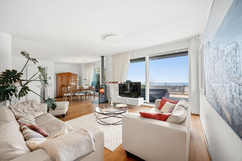 Magnifique duplex  et attique moderne avec vue lac à Lausanne (3)