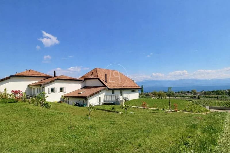 Renovated duplex apartment with lake view near Rolle (12)