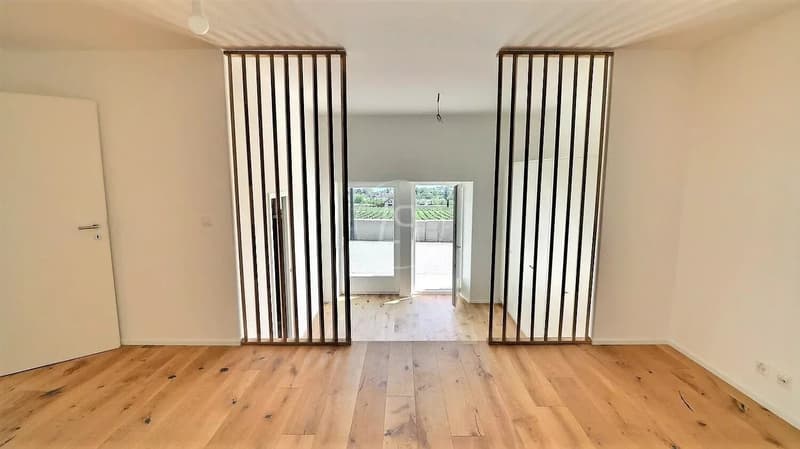 Renovated duplex apartment with lake view near Rolle (7)