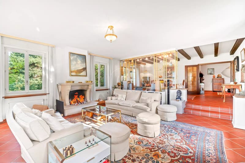 Charming Property to Renovate, View and Indoor Pool in St-Légier (8)