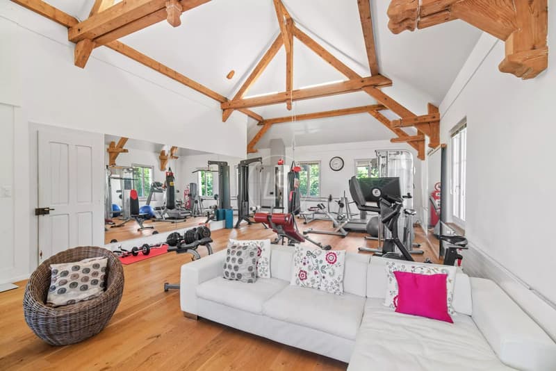 Charming property with 3 apartments on a beautiful plot in Giez (8)