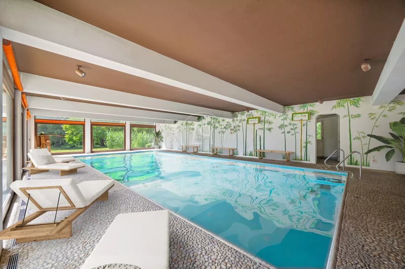 Exceptional property in a setting of greenery near Lausanne (8)
