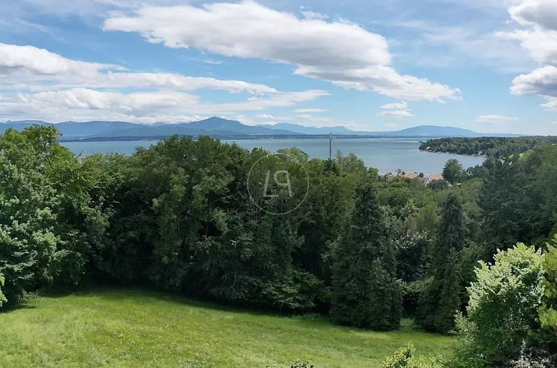 Property with a view in Dully, excellent buildability potential (2)