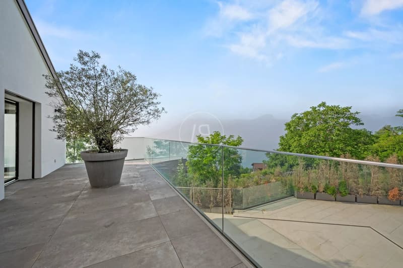 A breathtaking view on the heights of Chardonne with swimming pool (12)