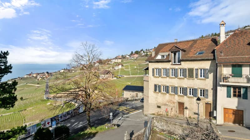Exceptional building with 3 apartments and panoramic view, Lavaux (2)