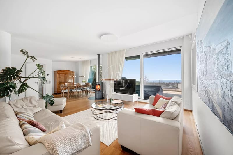 Magnificent modern duplex and penthouse with lake view in Lausanne (2)