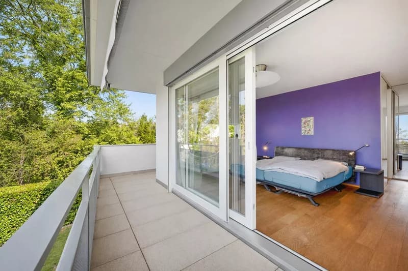 Magnificent modern duplex and penthouse with lake view in Lausanne (10)