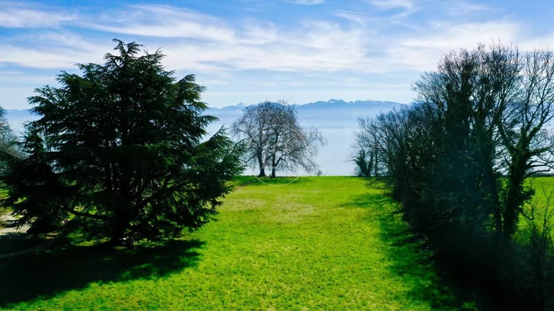 Project for a luxury modern lake front property,  Rolle (10)