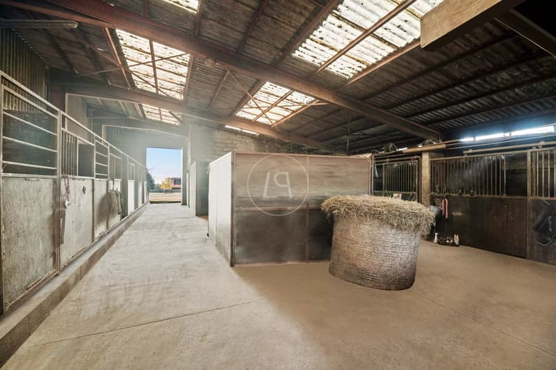 Rare equestrian property with great potential near Lausanne (12)