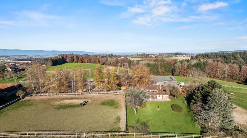 Rare equestrian property with great potential near Lausanne (3)