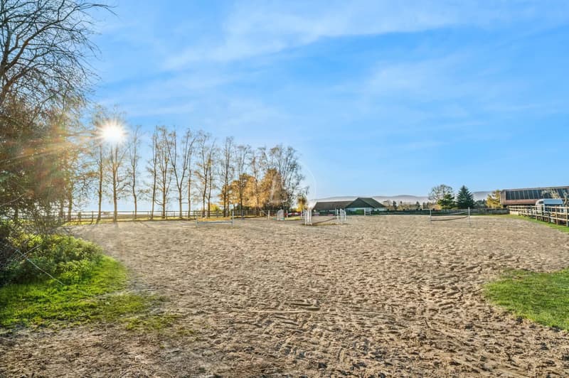 Rare equestrian property with great potential near Lausanne (13)