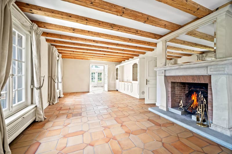 Magnificent Family Estate near Lausanne (11)