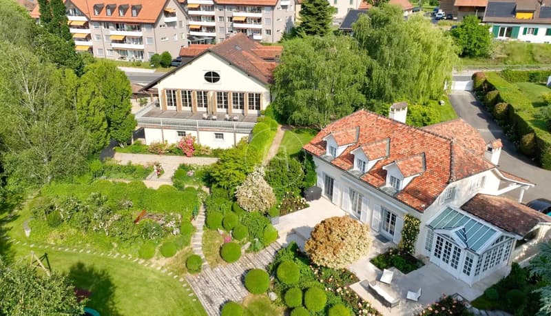 Magnificent Family Estate near Lausanne (3)