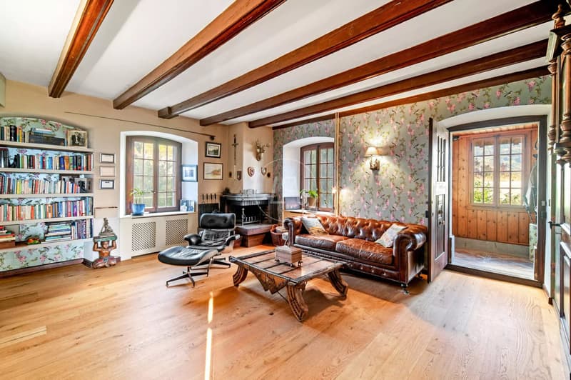 Beautiful renovated winemaker's house in the heart of St-Légier (10)