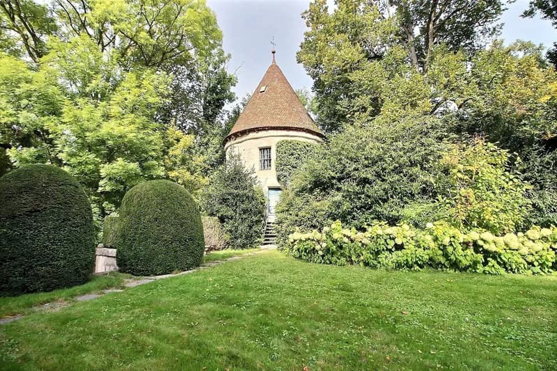 Stunning property nestled in a park with a pool near Morges (10)