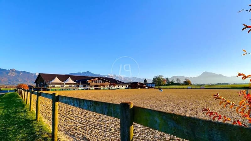 Rare equestrian property, 20 minutes from Vevey (2)