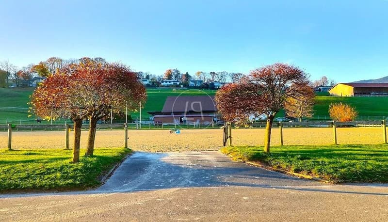 Rare equestrian property, 20 minutes from Vevey (4)