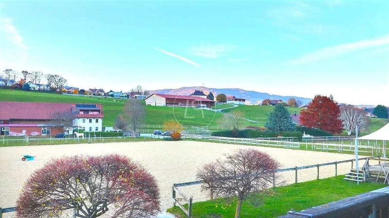 Rare equestrian property, 20 minutes from Vevey (10)