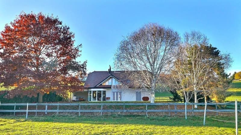 Rare equestrian property, 20 minutes from Vevey (11)
