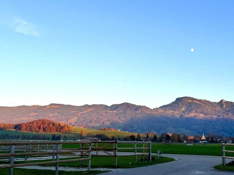 Rare equestrian property, 20 minutes from Vevey (1)