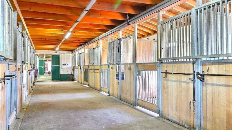 Rare equestrian property, 20 minutes from Vevey (7)