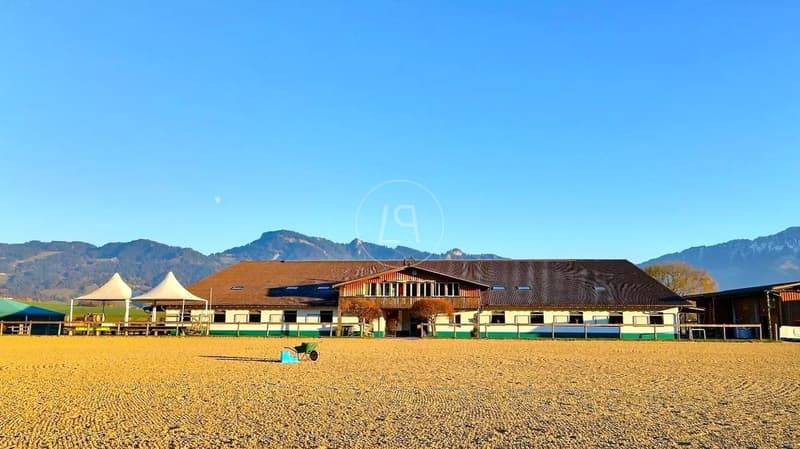 Rare equestrian property, 20 minutes from Vevey (3)