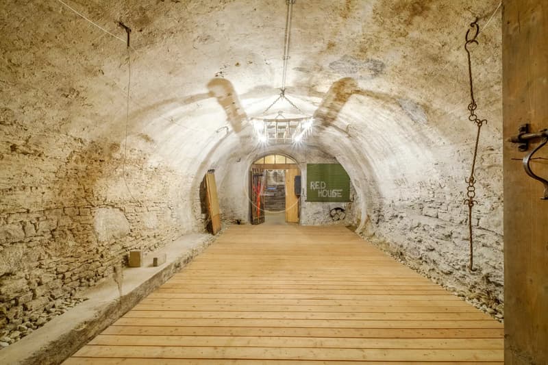 Maison de maître classée proche de Lausanne (13)