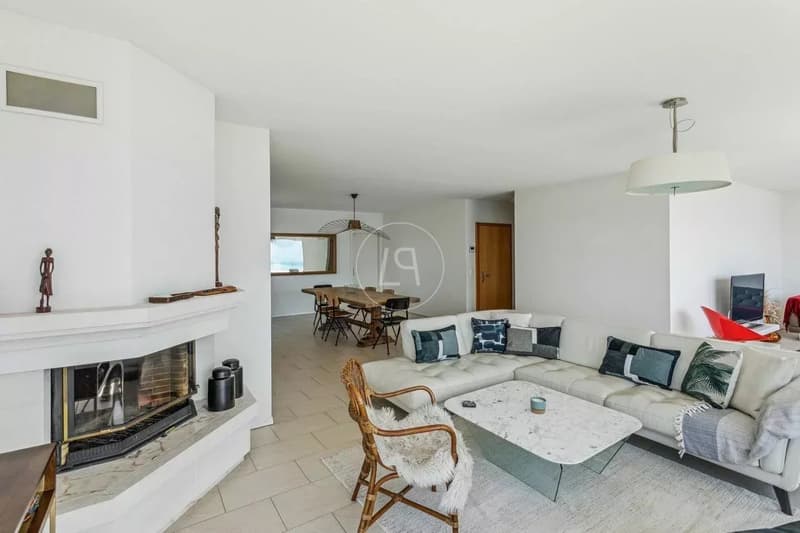 Attic with a 200 m2 terrace and breathtaking view in Montreux (3)