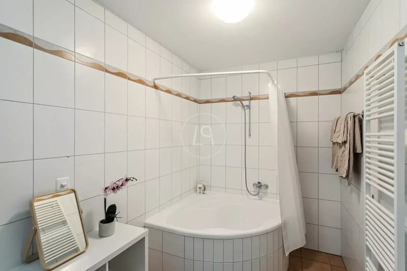 Attic with a 200 m2 terrace and breathtaking view in Montreux (12)