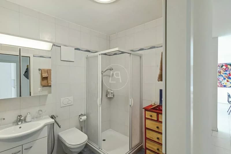 Attic with a 200 m2 terrace and breathtaking view in Montreux (10)