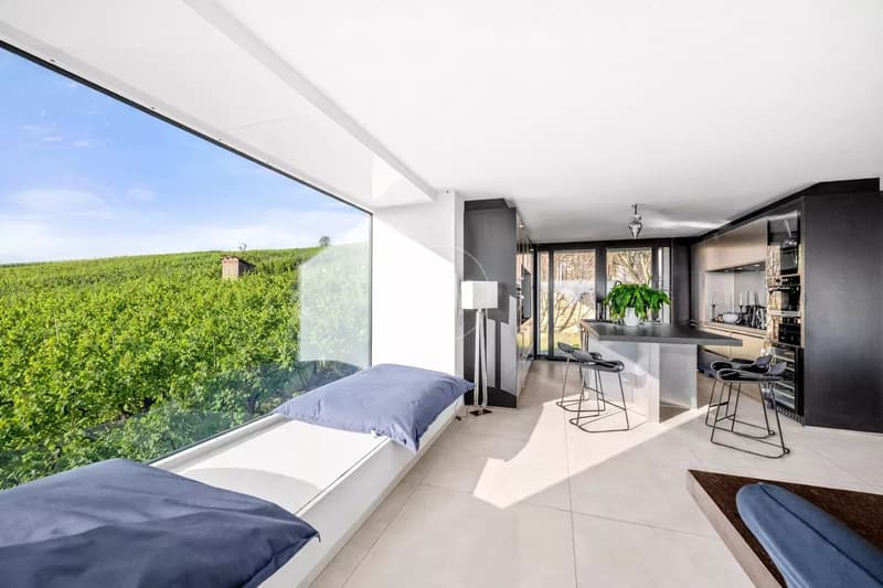 Beautiful architect-designed villa with lake view near Morges (4)
