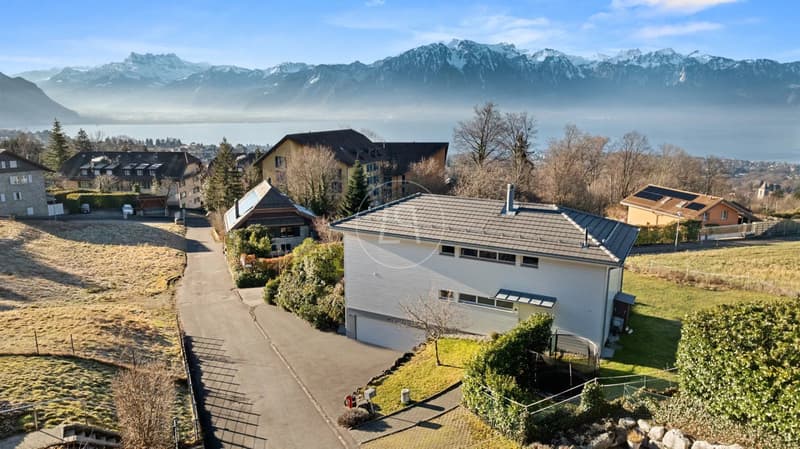 Blonay - Family living with a view of the lake and the Alps (1)