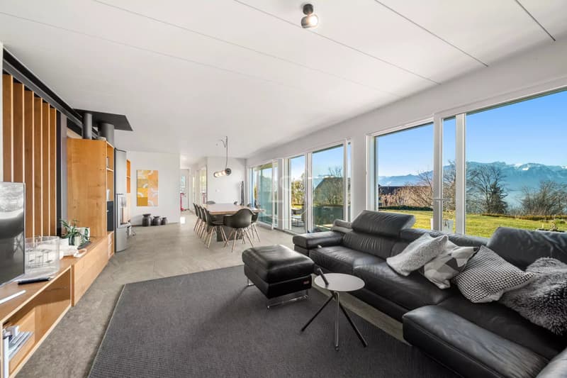 Blonay - Family living with a view of the lake and the Alps (1)