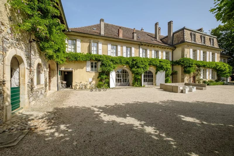 Historic 18th century castle, 15,000 m2 park, Between Lausanne and Nyon (9)