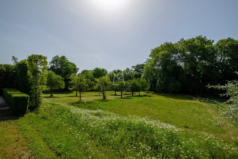 Historic 18th century castle, 15,000 m2 park, Between Lausanne and Nyon (6)