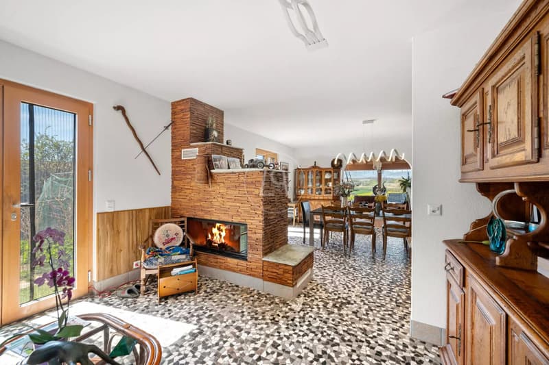 Country side property with high potential and profitability (13)