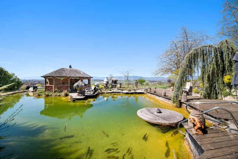Country side property with high potential and profitability (4)