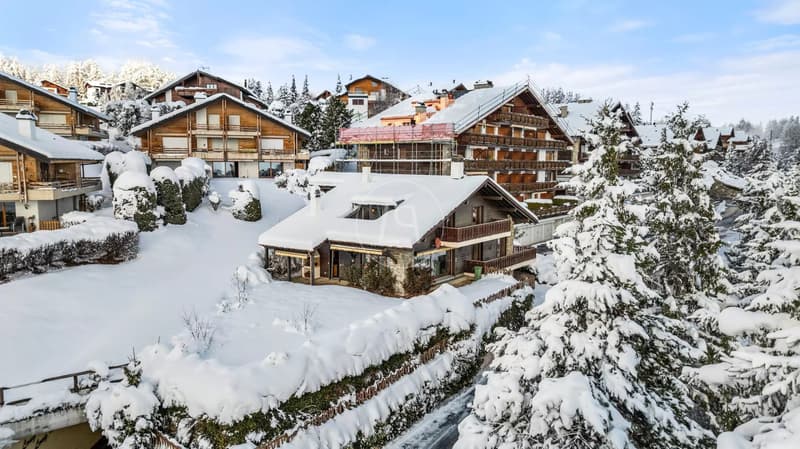 Chalet with Alpine views and exceptional potential (3)